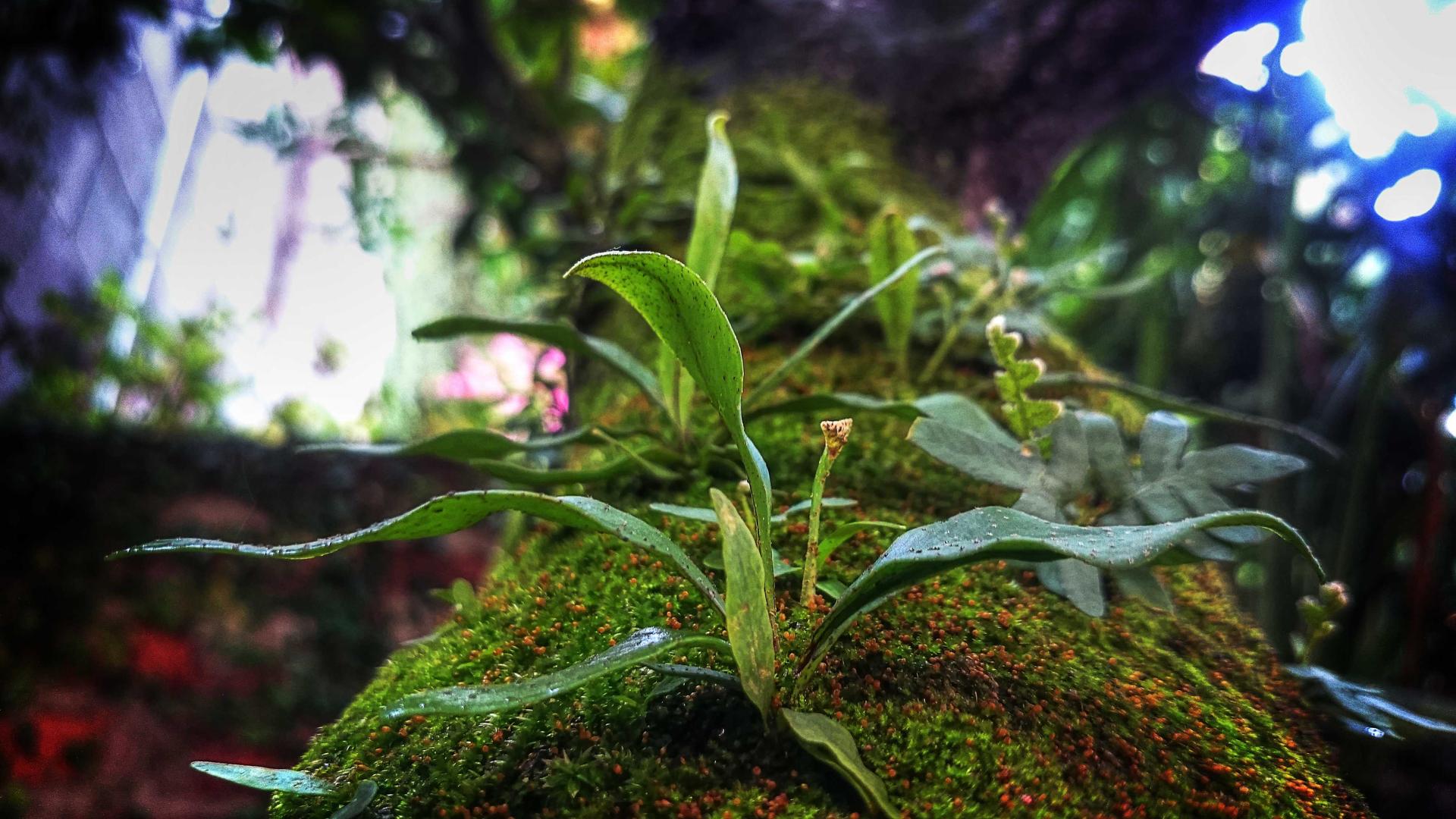 Architectural photograph 13