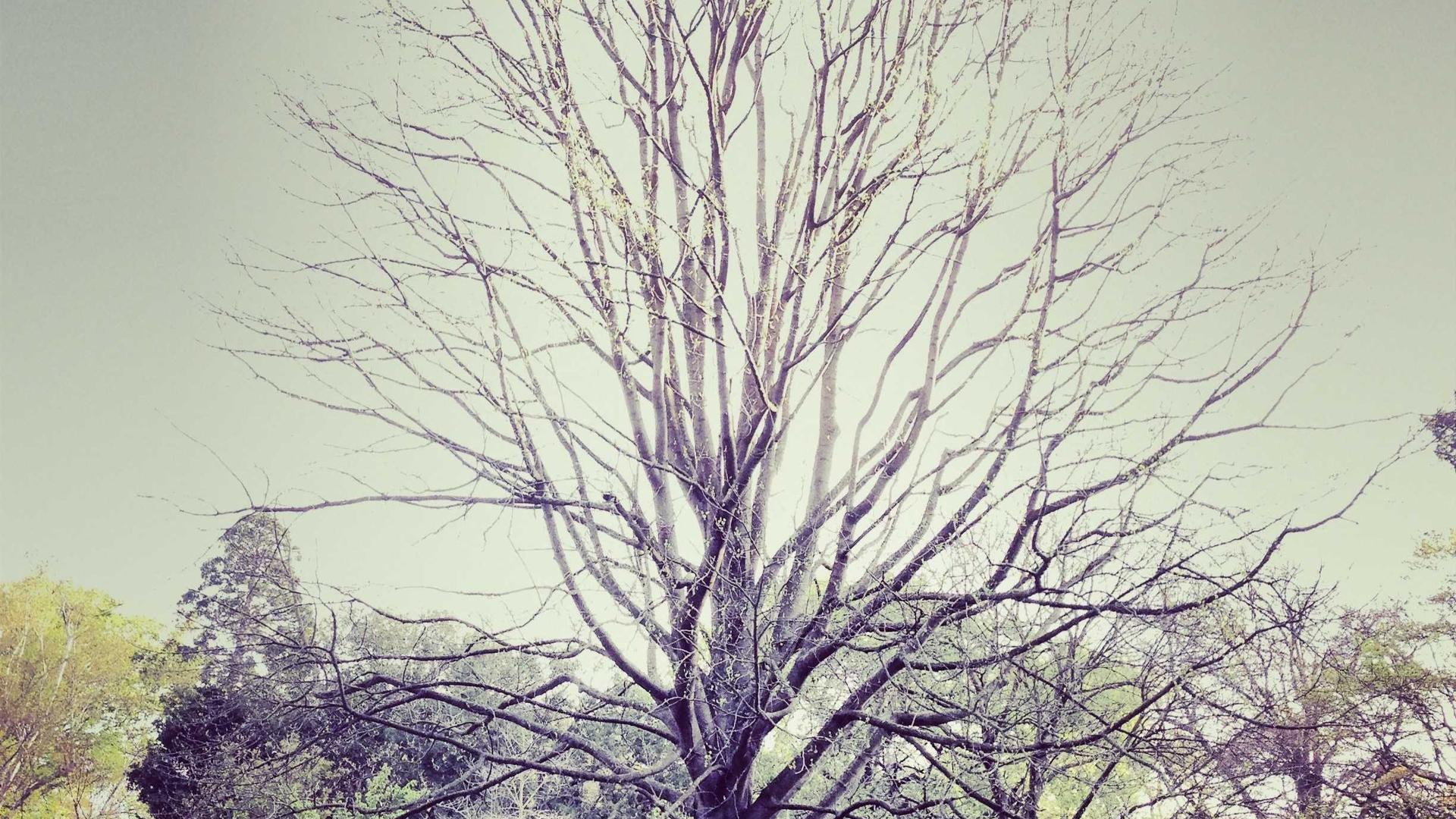 Architectural photograph 41