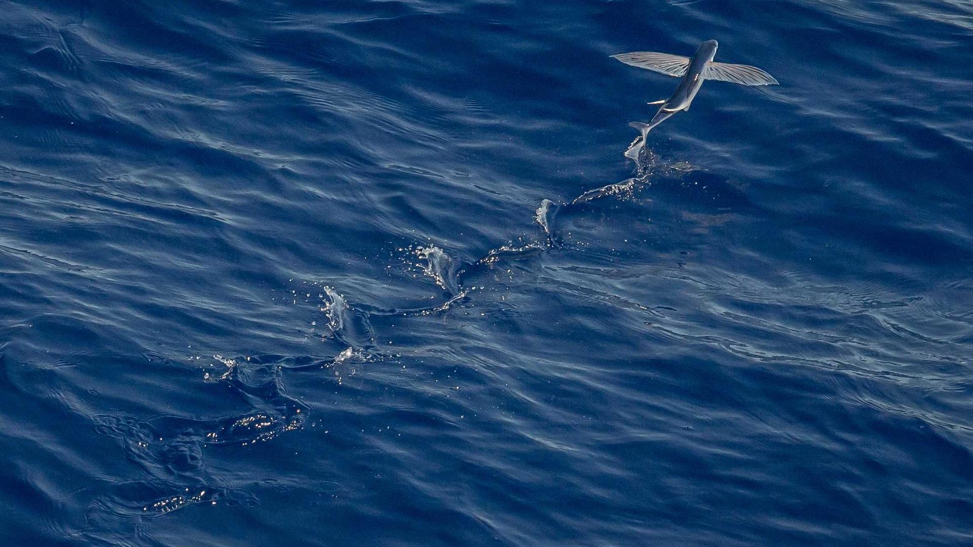 Architectural photograph 8